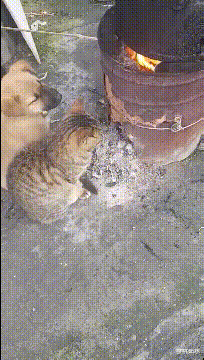 20201018_96622_1602981264367.gif
