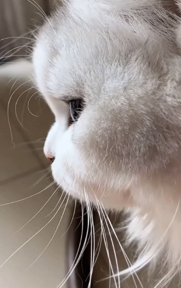 20201214_96622_1607937160788.gif