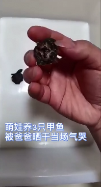 085732p8ez3zro8mon3o31.png.thumb.jpg