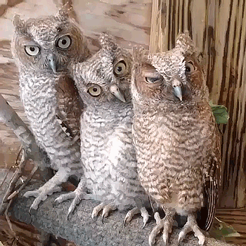 front2_0_FvoBZKouZ39WXs2SRpjqNBMDHyw6.1623207421.gif