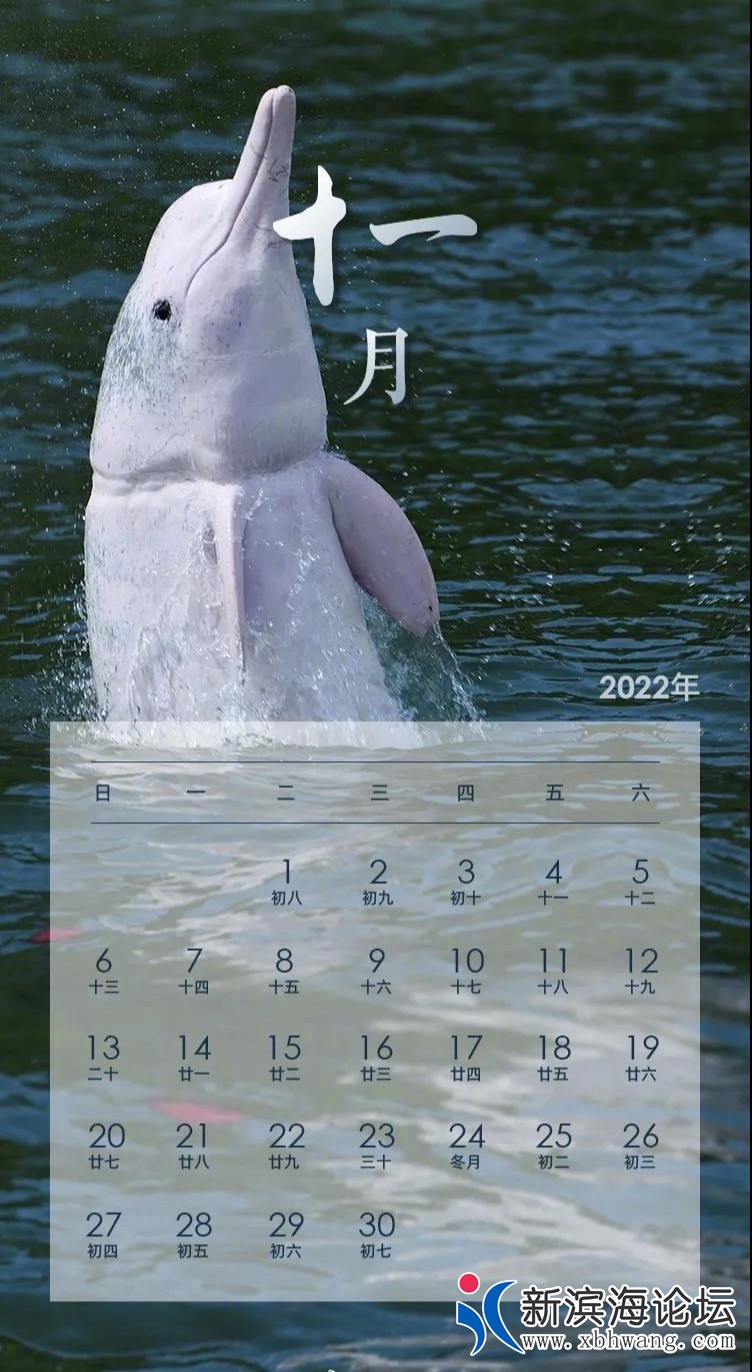 front2_0_15974_FmccsFuAmYSoMCxjXNUDeFYjisub.1635207590_08_19_53.jpg