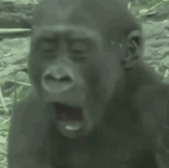 20220318202707front2_0_96622_FrChgb70w4ZsI_6EaPEUiJG4nskm.gif