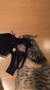 20220322094235front2_0_96622_FnbddLclJ0pj0us-xo2OMkzW7amK.gif