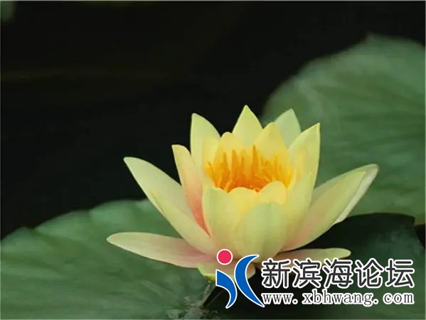 20240823111748front2_0_131978_FiITqxRm0qnmy3gX3Bu02U9d8P-3.jpg